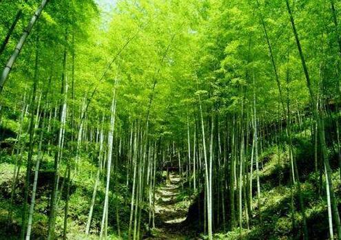 人少景美！五一小長(cháng)假最適合出游的的當地